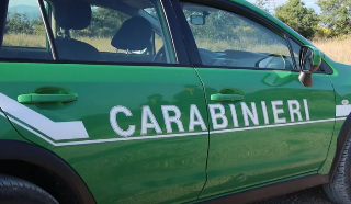 Cuneo - Maxi-operazione dei Carabinieri Forestali: sequestrati mezzi e rifiuti rubati dalle isole ecologiche