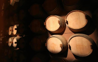 Barolo, il WiMu festeggia 15 anni e lancia “ENO7 del Turismo”: sette regioni del vino a confronto