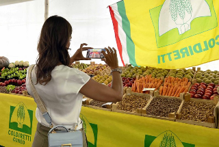 Ortofrutta cuneese, annata positiva nonostante il clima difficile