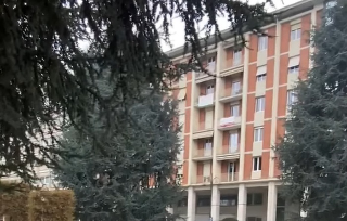 Cuneo - Ricorso al TAR per i cedri di Piazza Europa: la Giunta difende il progetto